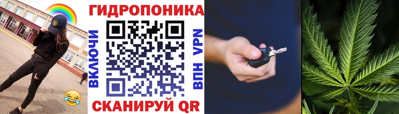 Шишки марихуана SATIVA & INDICA  darknet Telegram  Ленск 